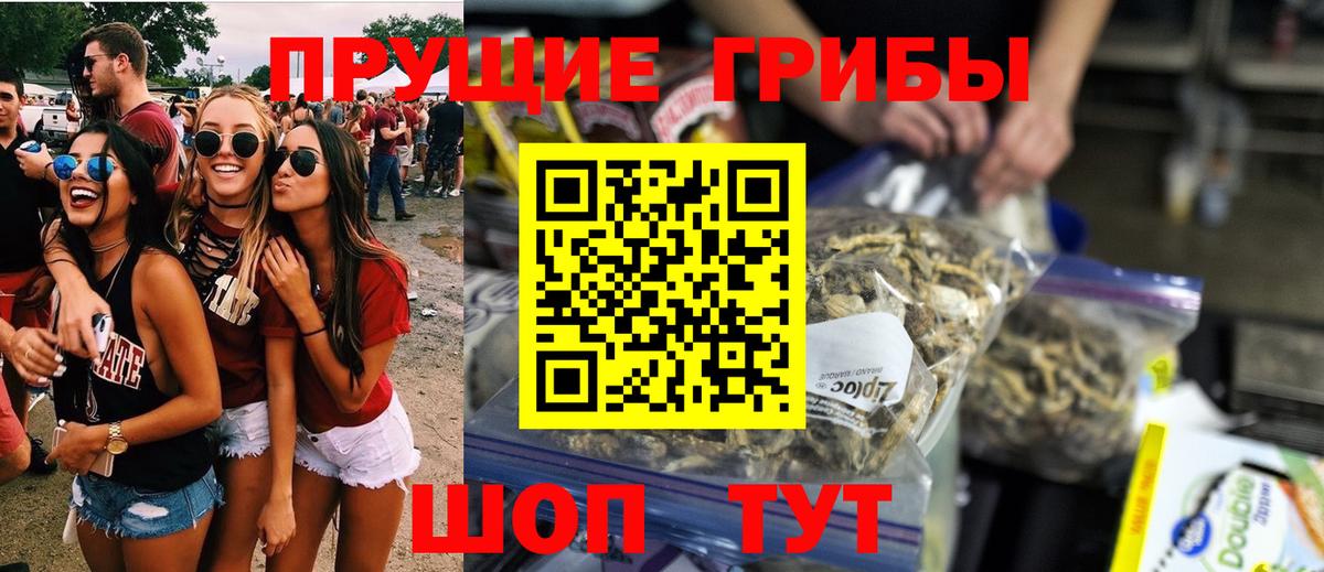 Галлюциногенные грибы MAGIC MUSHROOMS  Вход с VPN  Борисоглебск 